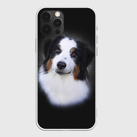 Чехол для iPhone 12 Pro Max с принтом Собака в Петрозаводске, Силикон |  | голова | животные | мордочка | пес | природа | собака | щенок