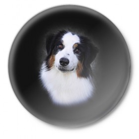 Значок с принтом Собака в Петрозаводске,  металл | круглая форма, металлическая застежка в виде булавки | голова | животные | мордочка | пес | природа | собака | щенок