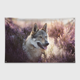 Флаг-баннер с принтом Волк в Петрозаводске, 100% полиэстер | размер 67 х 109 см, плотность ткани — 95 г/м2; по краям флага есть четыре люверса для крепления | dog | взгляд | волк | лайка | собака | хаски