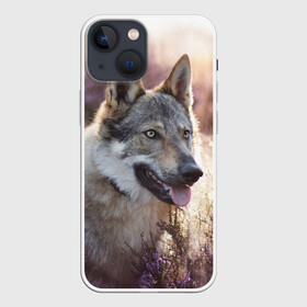 Чехол для iPhone 13 mini с принтом Волк в Петрозаводске,  |  | dog | взгляд | волк | лайка | собака | хаски
