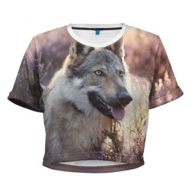 Женская футболка Cropp-top с принтом Волк в Петрозаводске, 100% полиэстер | круглая горловина, длина футболки до линии талии, рукава с отворотами | dog | взгляд | волк | лайка | собака | хаски
