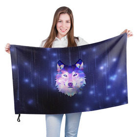 Флаг 3D с принтом Космический Волк в Петрозаводске, 100% полиэстер | плотность ткани — 95 г/м2, размер — 67 х 109 см. Принт наносится с одной стороны | poligon | space | star | stars | werewolf | wild | wolf | wolfs | волк | волки | волчата | волченок | волчица | вселенная | дикий | звезда | звезды | космический | космос | луна | оборотень | падающие | полигон | полигоны