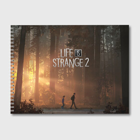 Альбом для рисования с принтом Life is Strange 2 в Петрозаводске, 100% бумага
 | матовая бумага, плотность 200 мг. | Тематика изображения на принте: adventure | life | life is strange | road | video game | дороги | жизнь | закат | квест | лес | приключения