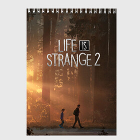 Скетчбук с принтом Life is Strange 2 в Петрозаводске, 100% бумага
 | 48 листов, плотность листов — 100 г/м2, плотность картонной обложки — 250 г/м2. Листы скреплены сверху удобной пружинной спиралью | Тематика изображения на принте: adventure | life | life is strange | road | video game | дороги | жизнь | закат | квест | лес | приключения