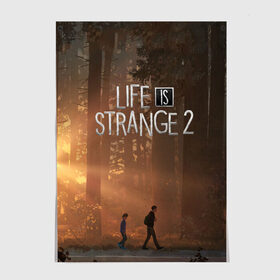 Постер с принтом Life is Strange 2 в Петрозаводске, 100% бумага
 | бумага, плотность 150 мг. Матовая, но за счет высокого коэффициента гладкости имеет небольшой блеск и дает на свету блики, но в отличии от глянцевой бумаги не покрыта лаком | adventure | life | life is strange | road | video game | дороги | жизнь | закат | квест | лес | приключения