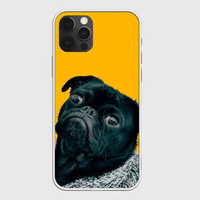 Чехол для iPhone 12 Pro Max с принтом Бульдожка в Петрозаводске, Силикон |  | Тематика изображения на принте: бульдог | паг | пес | собака | черный