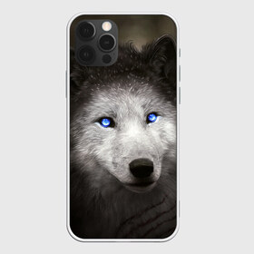 Чехол для iPhone 12 Pro Max с принтом Голубоглазый волк в Петрозаводске, Силикон |  | Тематика изображения на принте: волк | глаза | охотник | серый | хищник