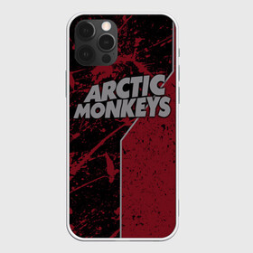 Чехол для iPhone 12 Pro с принтом Arctic Monkeys в Петрозаводске, силикон | область печати: задняя сторона чехла, без боковых панелей | британская | гараж | группа | инди рок | метал | ню | постпанк | психоделический | рок | хай грин | электроник