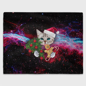 Плед 3D с принтом astro cat в Петрозаводске, 100% полиэстер | закругленные углы, все края обработаны. Ткань не мнется и не растягивается | art | cat | new year | pizza | space | абстракция | еда | ёлка | звезды | киса | космос | кот | кот в космосе | кот с едой | котенок | котик | кошка | новый год | пицца | праздник | рождество | шапка