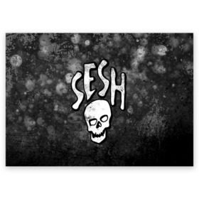 Поздравительная открытка с принтом SESH Team (Bones) в Петрозаводске, 100% бумага | плотность бумаги 280 г/м2, матовая, на обратной стороне линовка и место для марки
 | bones | boy | dead | deadboy | elmo | hdmi | hip | hop | kennedy | metal | rap | rapper | scream | sesh | seshollowaterboyz | skull | team | кеннеди | кости | костя | метал | рэп | рэпер | сеш | скрим | сэш | хип | хоп | череп | элмо