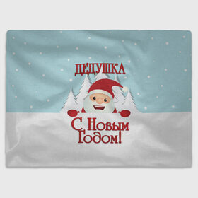 Плед 3D с принтом Дедушке в Петрозаводске, 100% полиэстер | закругленные углы, все края обработаны. Ткань не мнется и не растягивается | дед | дед мороз | дедушка | дедушке | елка | зима | любимому | новогодние | новый год | олень | подарок | рождество | с новым годом | самому | снег | снеговик