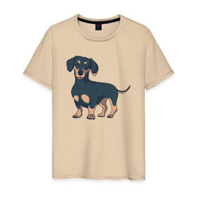 Мужская футболка хлопок с принтом Такса в Петрозаводске, 100% хлопок | прямой крой, круглый вырез горловины, длина до линии бедер, слегка спущенное плечо. | dachshund | собака | собаки | такса | таксы
