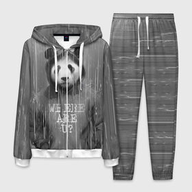 Мужской костюм 3D с принтом Панда в Петрозаводске, 100% полиэстер | Манжеты и пояс оформлены тканевой резинкой, двухслойный капюшон со шнурком для регулировки, карманы спереди | дождь | животные | капюшон | кофта | медведь | мишка | панда | природа | хипстер