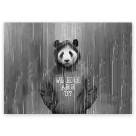 Поздравительная открытка с принтом Панда в Петрозаводске, 100% бумага | плотность бумаги 280 г/м2, матовая, на обратной стороне линовка и место для марки
 | дождь | животные | капюшон | кофта | медведь | мишка | панда | природа | хипстер