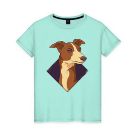 Женская футболка хлопок с принтом Уиппет в Петрозаводске, 100% хлопок | прямой крой, круглый вырез горловины, длина до линии бедер, слегка спущенное плечо | whippet | собака | собаки | уиппет