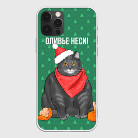 Чехол для iPhone 12 Pro Max с принтом Кот хочет кушот в Петрозаводске, Силикон |  | кот | кушот | новый год | оливье | толстый кот