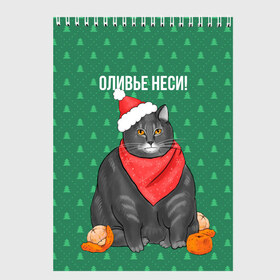 Скетчбук с принтом Кот хочет кушот в Петрозаводске, 100% бумага
 | 48 листов, плотность листов — 100 г/м2, плотность картонной обложки — 250 г/м2. Листы скреплены сверху удобной пружинной спиралью | кот | кушот | новый год | оливье | толстый кот