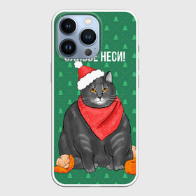 Чехол для iPhone 13 Pro с принтом Кот хочет кушот в Петрозаводске,  |  | кот | кушот | новый год | оливье | толстый кот