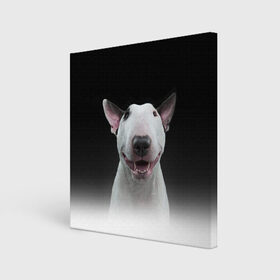 Холст квадратный с принтом Oh snap! в Петрозаводске, 100% ПВХ |  | bull terrier | dog |   | бультерьер | собака