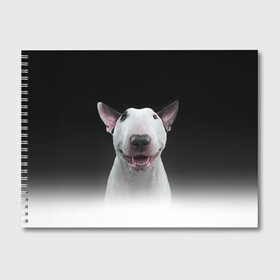 Альбом для рисования с принтом Oh snap! в Петрозаводске, 100% бумага
 | матовая бумага, плотность 200 мг. | bull terrier | dog |   | бультерьер | собака