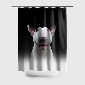 Штора 3D для ванной с принтом Oh snap! в Петрозаводске, 100% полиэстер | плотность материала — 100 г/м2. Стандартный размер — 146 см х 180 см. По верхнему краю — пластиковые люверсы для креплений. В комплекте 10 пластиковых колец | bull terrier | dog |   | бультерьер | собака
