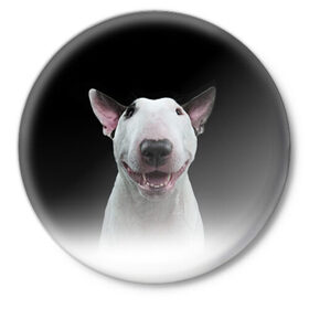 Значок с принтом Oh snap! в Петрозаводске,  металл | круглая форма, металлическая застежка в виде булавки | bull terrier | dog |   | бультерьер | собака