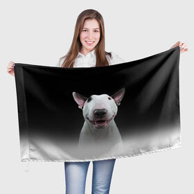 Флаг 3D с принтом Oh snap! в Петрозаводске, 100% полиэстер | плотность ткани — 95 г/м2, размер — 67 х 109 см. Принт наносится с одной стороны | Тематика изображения на принте: bull terrier | dog |   | бультерьер | собака