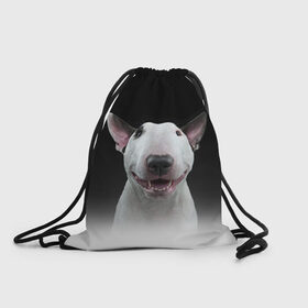 Рюкзак-мешок 3D с принтом Oh snap! в Петрозаводске, 100% полиэстер | плотность ткани — 200 г/м2, размер — 35 х 45 см; лямки — толстые шнурки, застежка на шнуровке, без карманов и подкладки | bull terrier | dog |   | бультерьер | собака