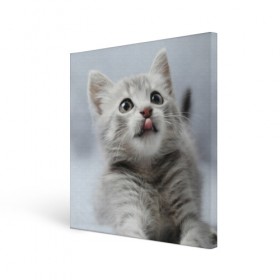 Холст квадратный с принтом Котенок в Петрозаводске, 100% ПВХ |  | голова | животные | кот | котенок | котик | кошка | мордочка | природа | язык
