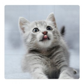 Магнитный плакат 3Х3 с принтом Котенок в Петрозаводске, Полимерный материал с магнитным слоем | 9 деталей размером 9*9 см | голова | животные | кот | котенок | котик | кошка | мордочка | природа | язык