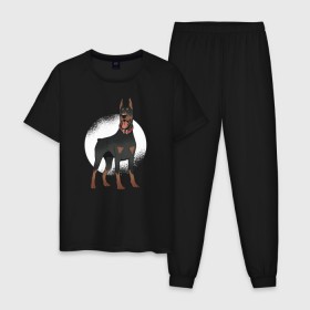 Мужская пижама хлопок с принтом Доберман в Петрозаводске, 100% хлопок | брюки и футболка прямого кроя, без карманов, на брюках мягкая резинка на поясе и по низу штанин
 | doberman | dobermann | dog | доберман | собака | собаки