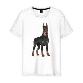 Мужская футболка хлопок с принтом Доберман в Петрозаводске, 100% хлопок | прямой крой, круглый вырез горловины, длина до линии бедер, слегка спущенное плечо. | doberman | dobermann | dog | доберман | собака | собаки