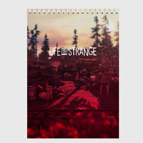 Скетчбук с принтом Life is Strange в Петрозаводске, 100% бумага
 | 48 листов, плотность листов — 100 г/м2, плотность картонной обложки — 250 г/м2. Листы скреплены сверху удобной пружинной спиралью | caulfield | chloe price | game | kate marsh | life | life is strange | life is strange: before the storm | max | strange | две луны | игры | кейт марш | колфилд | макс | подростки | студенты