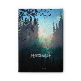 Обложка для автодокументов с принтом Life is Strange в Петрозаводске, натуральная кожа |  размер 19,9*13 см; внутри 4 больших “конверта” для документов и один маленький отдел — туда идеально встанут права | caulfield | chloe price | game | kate marsh | life | life is strange | life is strange: before the storm | max | strange | две луны | игры | кейт марш | колфилд | макс | подростки | студенты