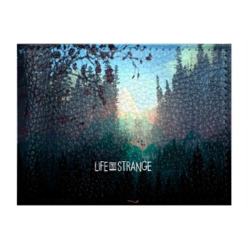 Обложка для студенческого билета с принтом Life is Strange в Петрозаводске, натуральная кожа | Размер: 11*8 см; Печать на всей внешней стороне | caulfield | chloe price | game | kate marsh | life | life is strange | life is strange: before the storm | max | strange | две луны | игры | кейт марш | колфилд | макс | подростки | студенты