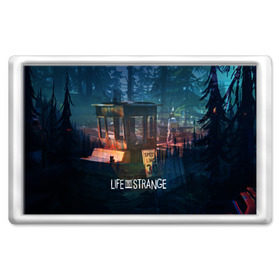 Магнит 45*70 с принтом Life is Strange в Петрозаводске, Пластик | Размер: 78*52 мм; Размер печати: 70*45 | 