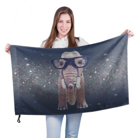 Флаг 3D с принтом Слон в очках в Петрозаводске, 100% полиэстер | плотность ткани — 95 г/м2, размер — 67 х 109 см. Принт наносится с одной стороны | 