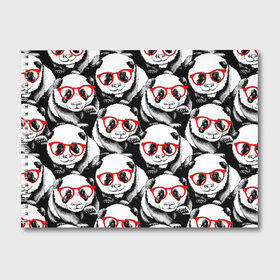 Альбом для рисования с принтом Панды в красных очках в Петрозаводске, 100% бумага
 | матовая бумага, плотность 200 мг. | Тематика изображения на принте: animals | bears | funny | head | muzzl | pandas | red | весёлые | взгляд | голова | графика | животные | искусство | картинка | красивый | красные | крутой | медведи | мода | модный | молодёжная | очки | панды | рисунок