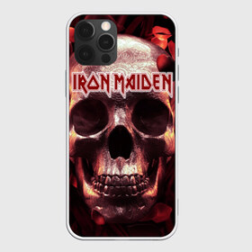 Чехол для iPhone 12 Pro Max с принтом Iron Maiden в Петрозаводске, Силикон |  | бас | британия | брюс дикинсон | гитара | группа | дева | железная | метал | нико макбрэйн | рок | стив харрис | хеви | яник герс