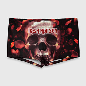 Мужские купальные плавки 3D с принтом Iron Maiden в Петрозаводске, Полиэстер 85%, Спандекс 15% |  | Тематика изображения на принте: бас | британия | брюс дикинсон | гитара | группа | дева | железная | метал | нико макбрэйн | рок | стив харрис | хеви | яник герс