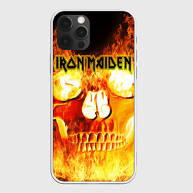 Чехол для iPhone 12 Pro Max с принтом Iron Maiden в Петрозаводске, Силикон |  | бас | британия | брюс дикинсон | гитара | группа | дева | железная | метал | нико макбрэйн | рок | стив харрис | хеви | яник герс