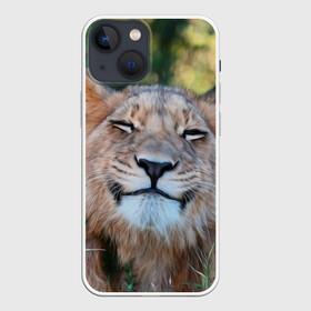 Чехол для iPhone 13 mini с принтом Улыбка львицы в Петрозаводске,  |  | голова | животные | кот | кошка | лев | лицо | львица | прикол | прикольные | природа | смешные | тигр | тигрица | улыбается | улыбка | юмор