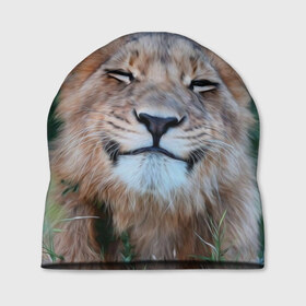 Шапка 3D с принтом Улыбка львицы в Петрозаводске, 100% полиэстер | универсальный размер, печать по всей поверхности изделия | голова | животные | кот | кошка | лев | лицо | львица | прикол | прикольные | природа | смешные | тигр | тигрица | улыбается | улыбка | юмор