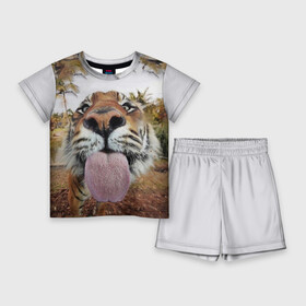 Детский костюм с шортами 3D с принтом Тигр показывает язык в Петрозаводске,  |  | Тематика изображения на принте: голова | животные | кот | кошка | лев | лицо | прикол | прикольные | природа | смешные 
 животные | тигр | тигрица | юмор | язык