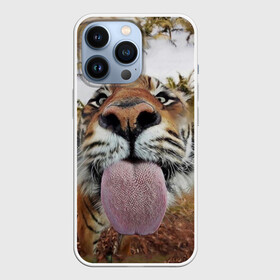Чехол для iPhone 13 Pro с принтом Тигр показывает язык в Петрозаводске,  |  | голова | животные | кот | кошка | лев | лицо | прикол | прикольные | природа | смешные 
 животные | тигр | тигрица | юмор | язык