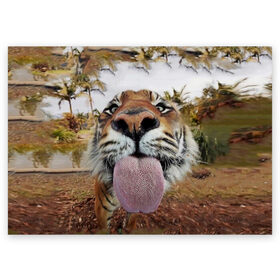 Поздравительная открытка с принтом Тигр показывает язык в Петрозаводске, 100% бумага | плотность бумаги 280 г/м2, матовая, на обратной стороне линовка и место для марки
 | Тематика изображения на принте: голова | животные | кот | кошка | лев | лицо | прикол | прикольные | природа | смешные 
 животные | тигр | тигрица | юмор | язык