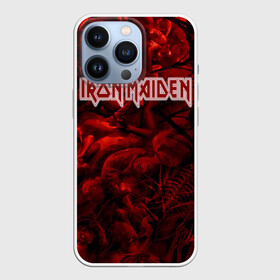 Чехол для iPhone 13 Pro с принтом Iron Maiden в Петрозаводске,  |  | бас | британия | брюс дикинсон | гитара | группа | дева | железная | метал | нико макбрэйн | рок | стив харрис | хеви | яник герс