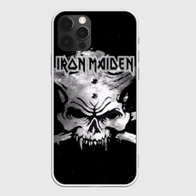 Чехол для iPhone 12 Pro Max с принтом Iron Maiden в Петрозаводске, Силикон |  | бас | британия | брюс дикинсон | гитара | группа | дева | железная | метал | нико макбрэйн | рок | стив харрис | хеви | яник герс