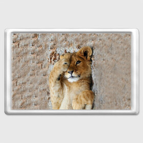 Магнит 45*70 с принтом Львенок в Петрозаводске, Пластик | Размер: 78*52 мм; Размер печати: 70*45 | дикая кошка | животные | кот | кошка | лев | львенок | львица | мордочка | природа | тигр | хищник