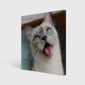 Холст квадратный с принтом Сиамский котенок в Петрозаводске, 100% ПВХ |  | животные | кот | котенок | котик | кошечка | кошка | милый | мордочка | показывает язык | прикол | серый | сиамская | сиамская кошка | сиамский котенок | юмор | язык
